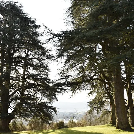 住宿加早餐酒店 瓦拉伯恩城堡住宿加早餐旅馆 4*